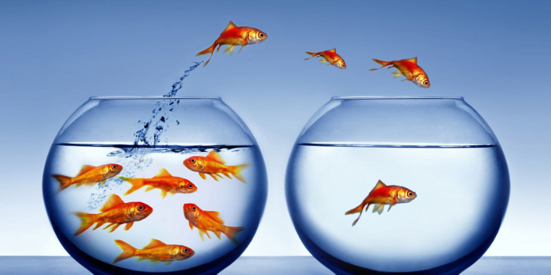 Incentive Marketing Awards Show Examples of How to Win Customers With Gifting